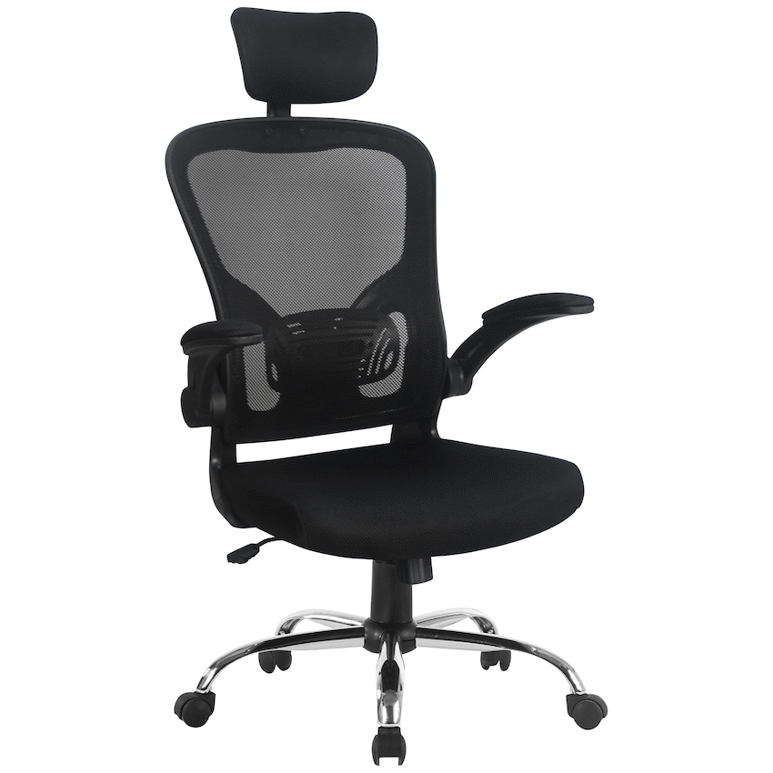 Everfurn Stagio Ergo High Back Office Chair