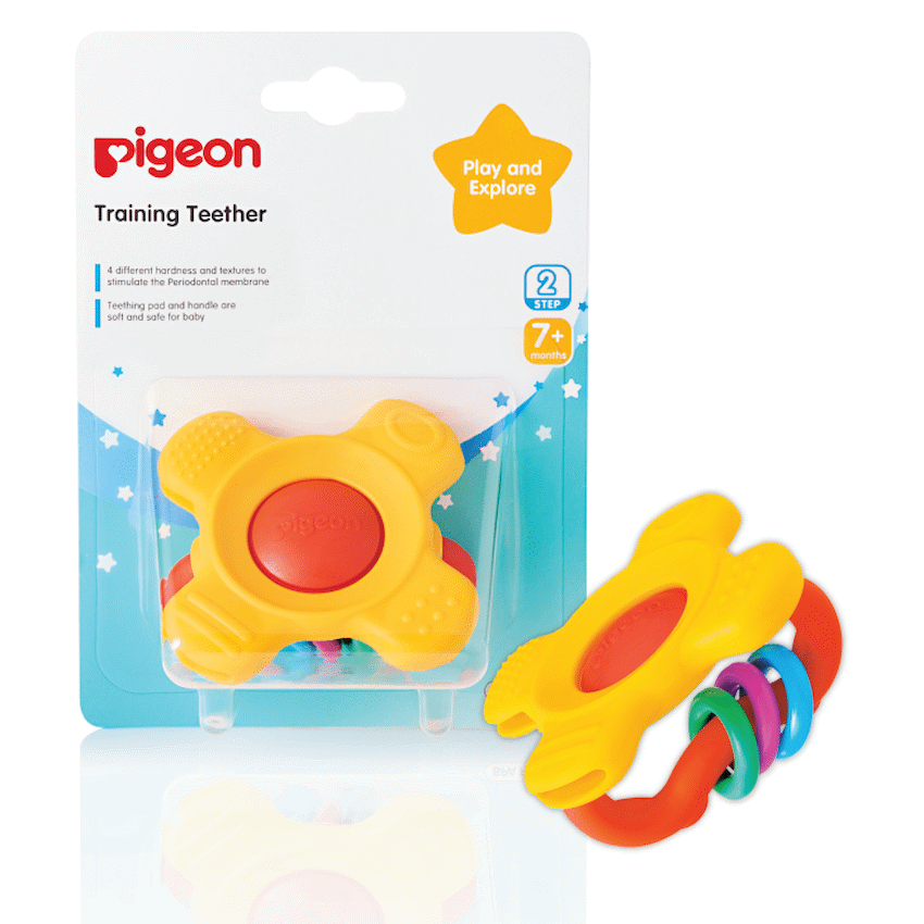 Pigeon - Training Teether Step 2