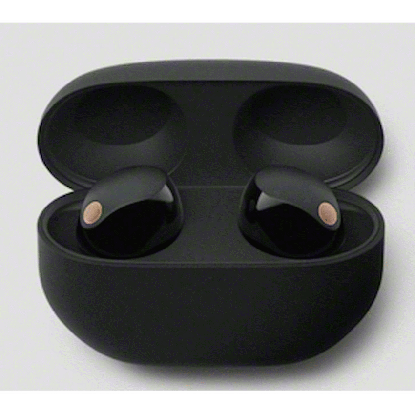 Sony WF-1000XM5 (Black) Premium TWS Earphones